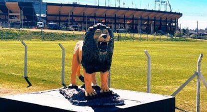 El león de la Ciudad Deportiva Néstor Gonçalves