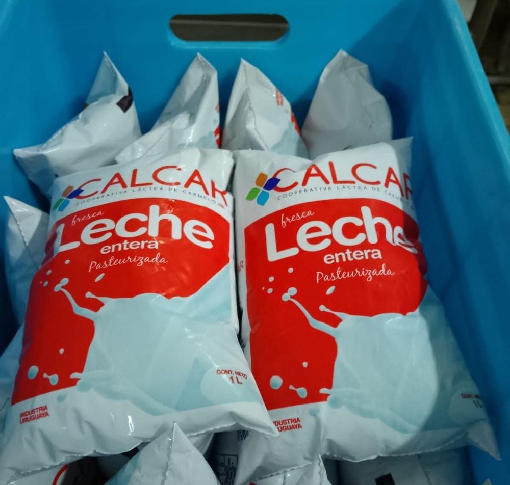 Calcar: reapertura con base en la producción de leches frescas.