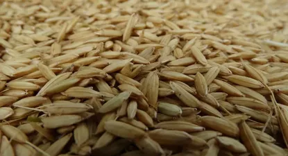 El Observador | 0010141398.webp