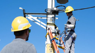 UTE registró ganancias por US$ 315 millones en 2024 ¿qué lo explica?