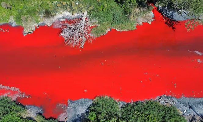 El arroyo Sarandí que se tiñó de rojo: ahora los vecinos denuncian un fuerte olor y falta de respuesta