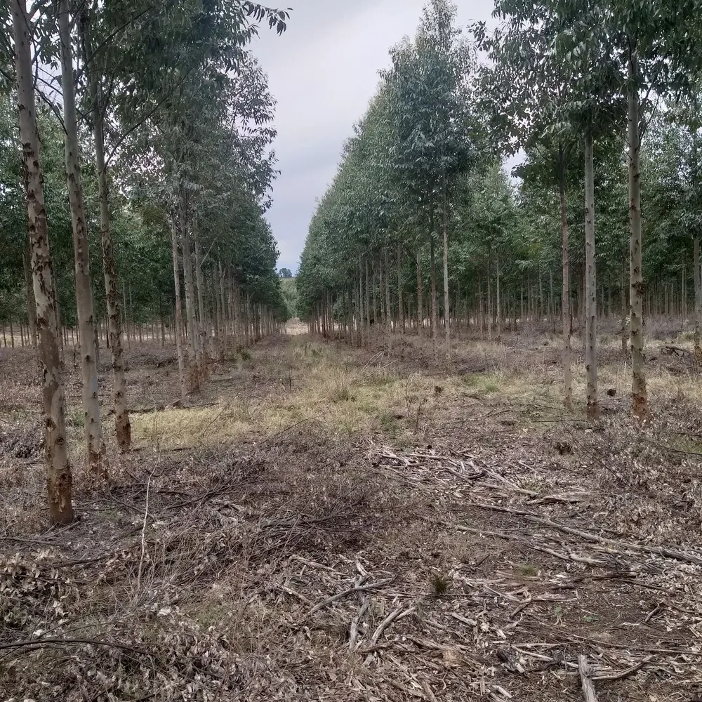 Esta fue la primera operación de magnitud que AF cerró al exterior.