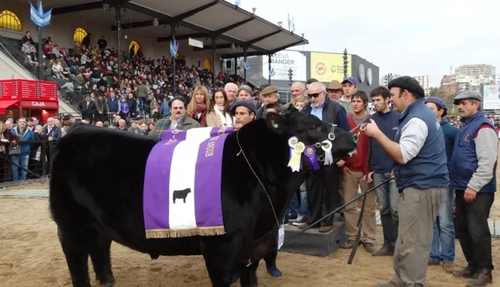 Reservado Gran Campeón de Frigorífico Modelo y cabañas argentinas
