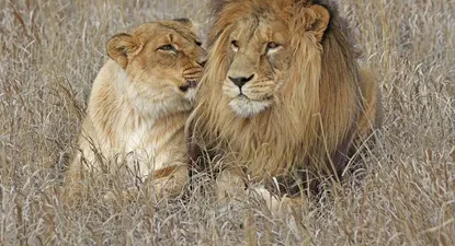 El Observador | 0004706099.webp