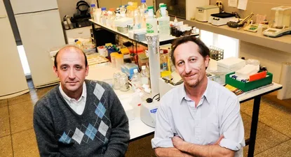 El Observador | 0001475815.webp