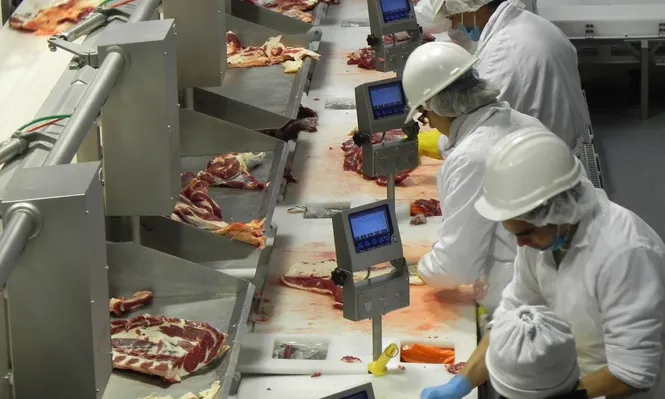 Sin gran impacto por el covid-19, el corazón de la industria cayó 3,5% en marzo