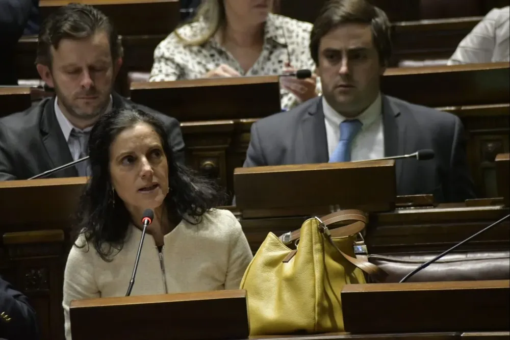 Interpelación a la ministra Azucena Arbeleche