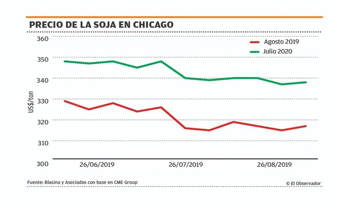 Rumores sobre  Argentina golpearon los valores locales de soja