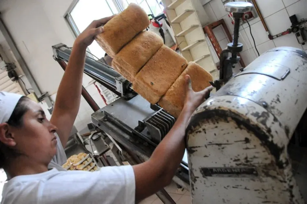 La elaboración de productos alimenticios fue la rama de mejor desempeño.