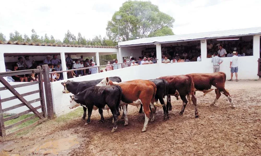 Remate a cargo del escritorio Juan Carlos Martínez Negocios Rurales