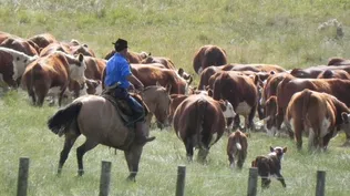 Agro firma hoy convenio salarial, pero el comercio sigue trabado