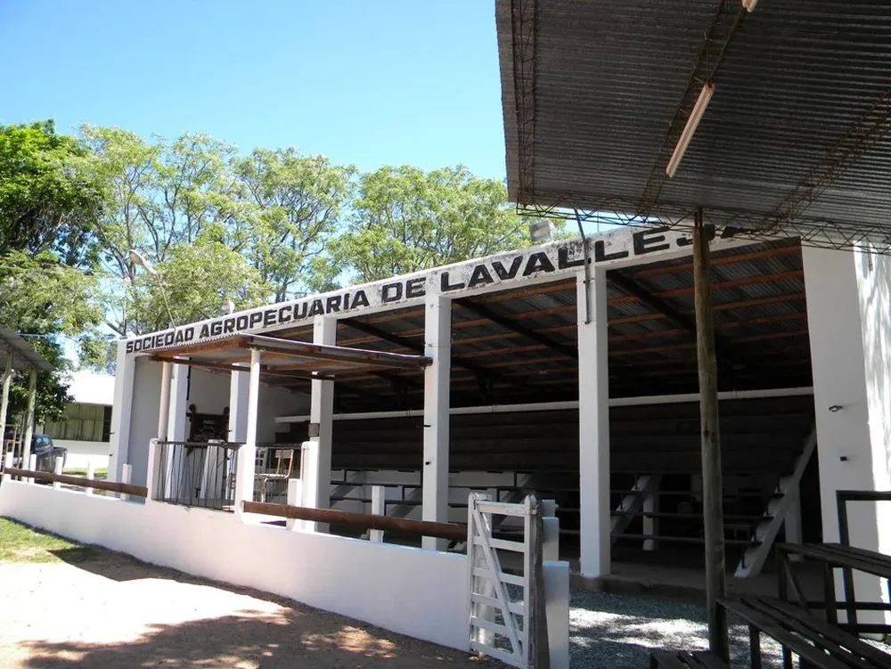 El remate se realizó en el local de la Agropecuaria de Lavalleja