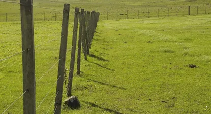 una gran estancia