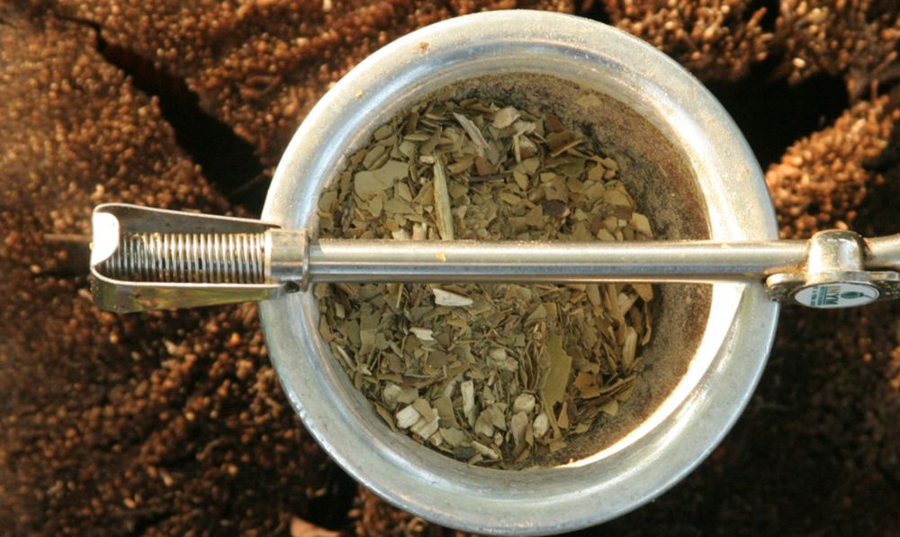 El mate tiene cada vez más presencia en España.  