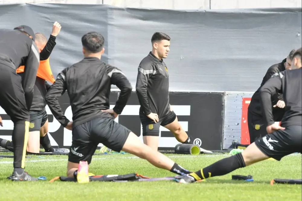 Calentamiento aurinegro