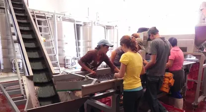 Intenso trabajo a esta altura del año en las bodegas