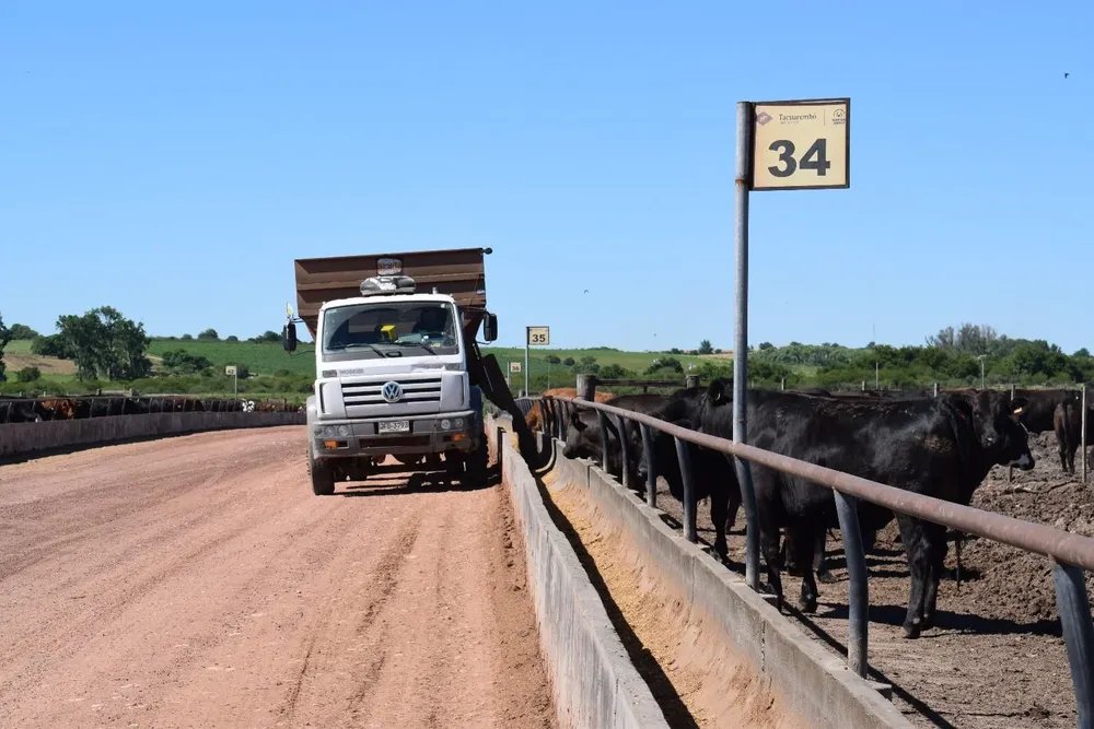 Terminación de ganados en corrales.