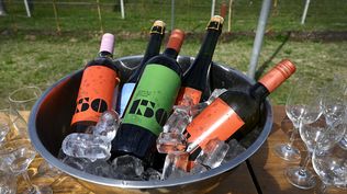 Día del Patrimonio: se viene un fin de semana con el vino como protagonista.