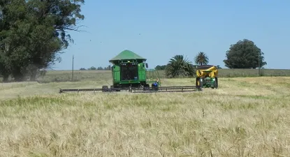 El Observador | 0000473190.webp