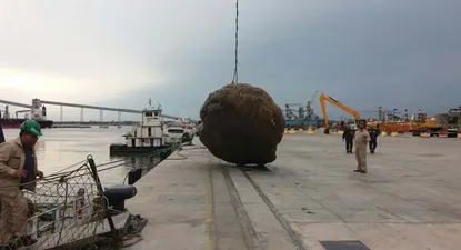 Puerto de Montevideo crecerá 8% este año gracias a trasbordos argentinos