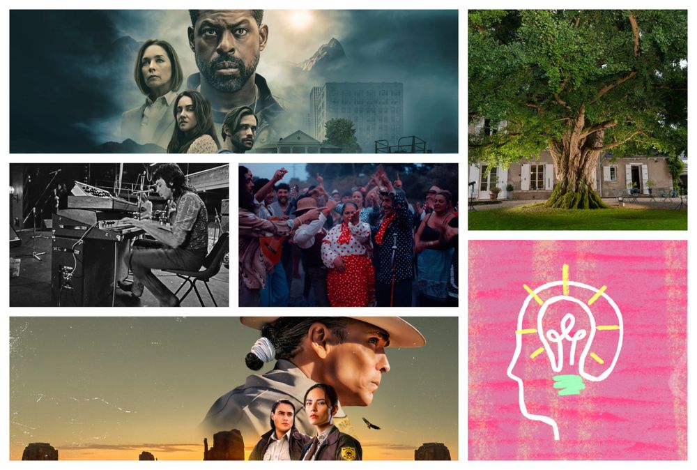 Los recomendados de Picnic de esta semana