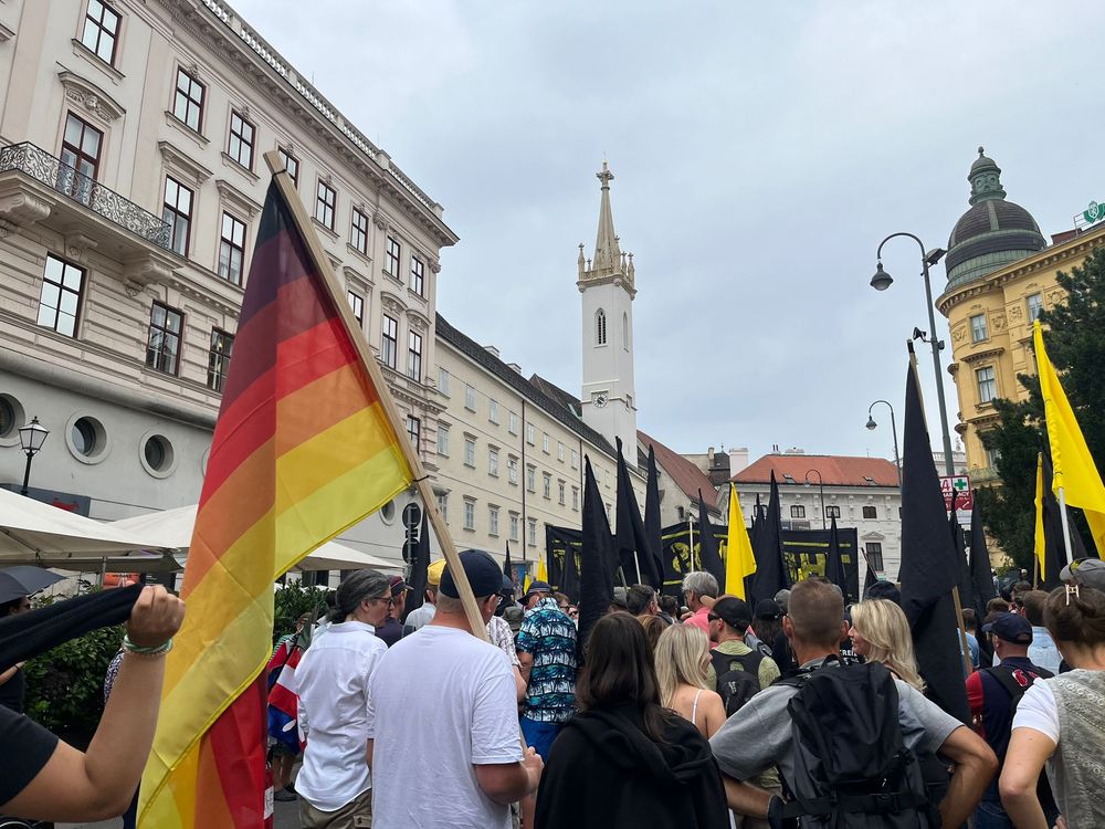 Grupos de neonazis en la manifestación de extrema derecha en Viena con consignas anti inmigración