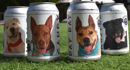 como unas latas de cerveza llevaron a una mujer a reencontrarse con su perra perdida