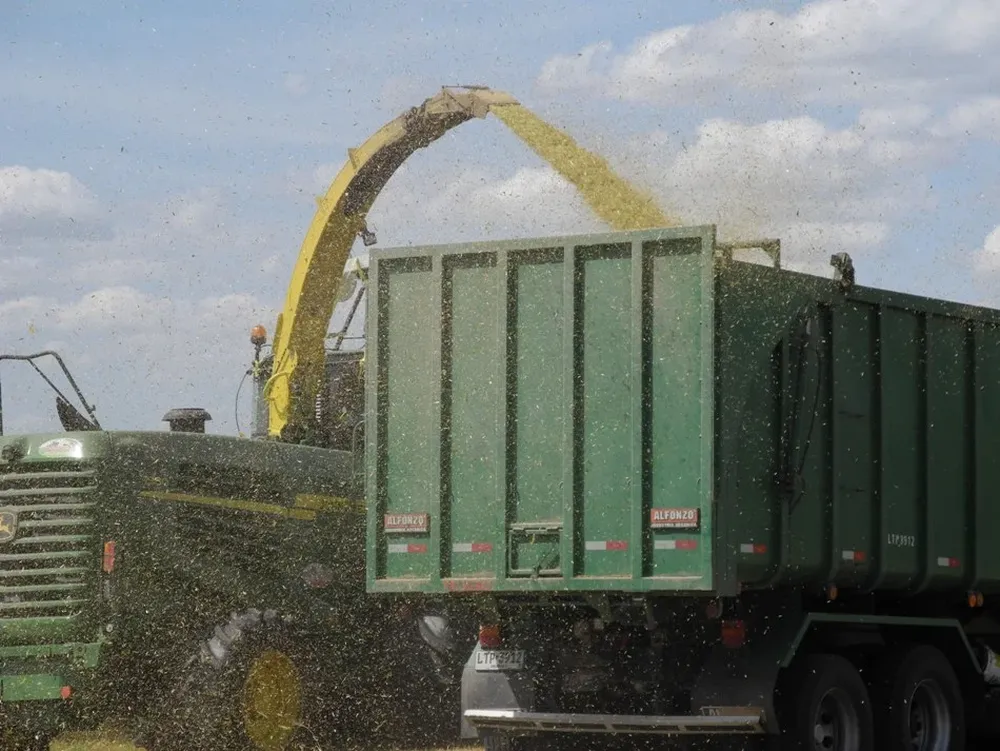 El stock de granos no tuvo el último mes variantes importantes