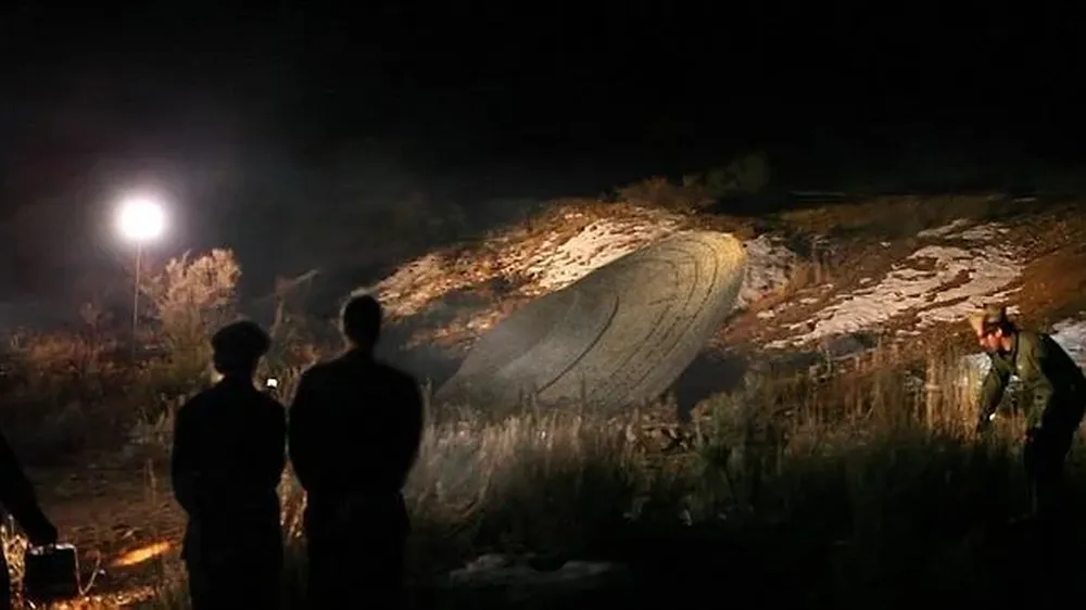 Ovni enterrado en la pinocha