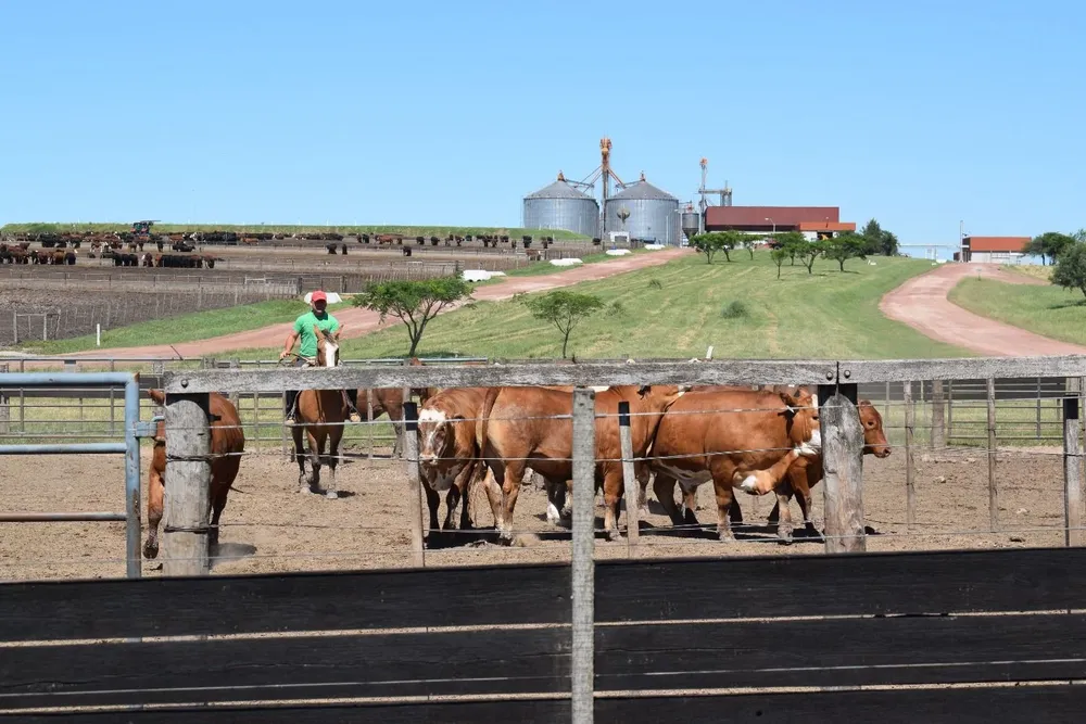 Análisis de mercados por Blasina y Asociados.