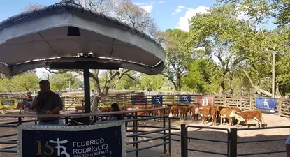 feria de federico rodriguez registro una buena demanda