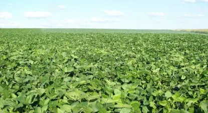 Canadienses adquieren empresa de biotecnología uruguaya