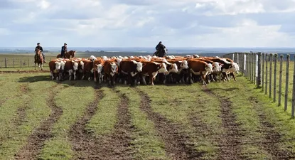 El Observador | 1652311542909.webp