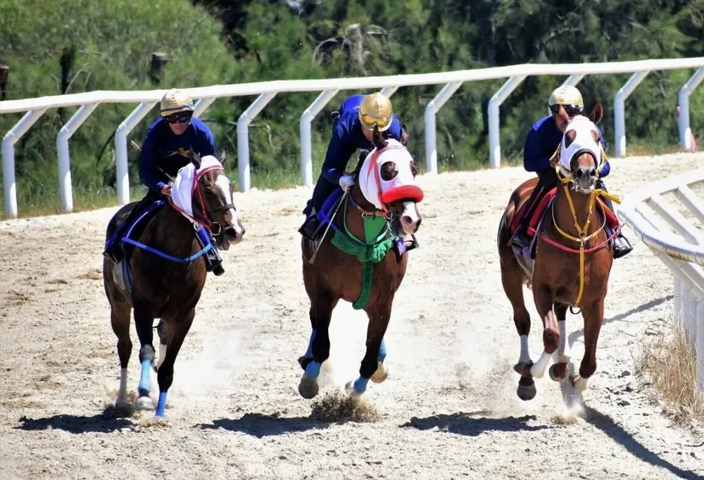 La venta online de Zambrano & Cía cerrará el martes 9 de agosto.
