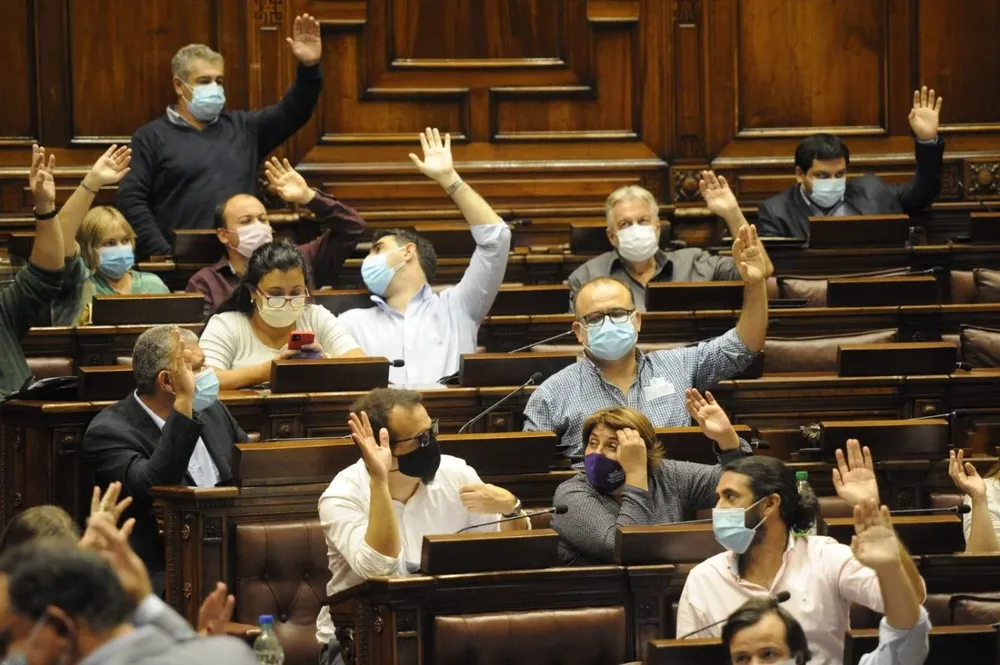 Los diputados del Frente Amplio plantearon analizar el tema en el Parlamento