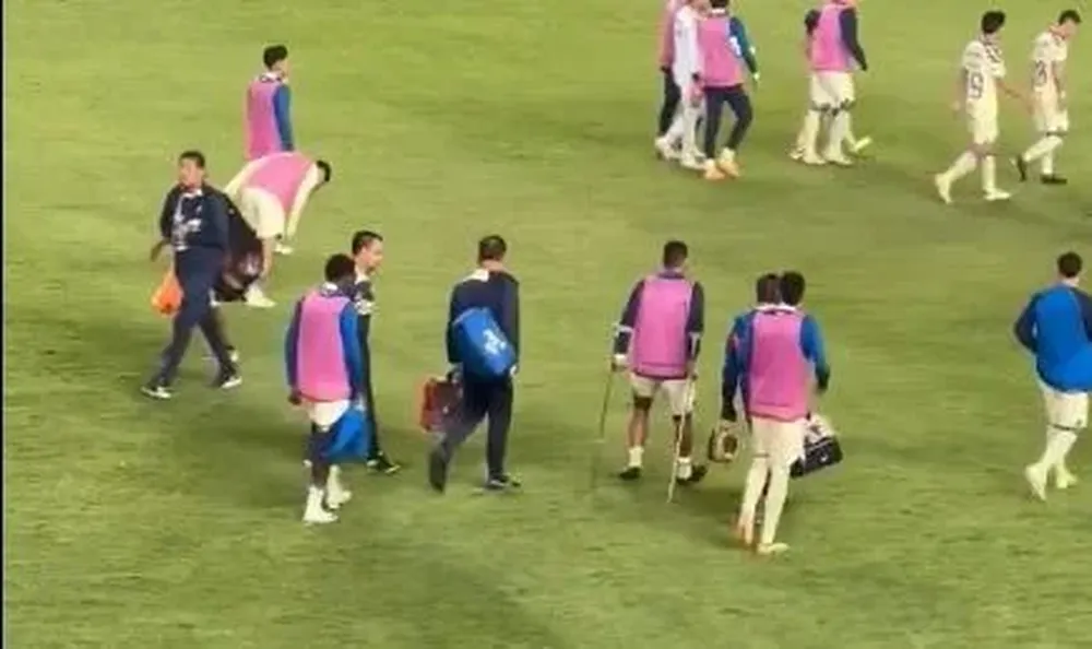 Se fue con bastones canadienses