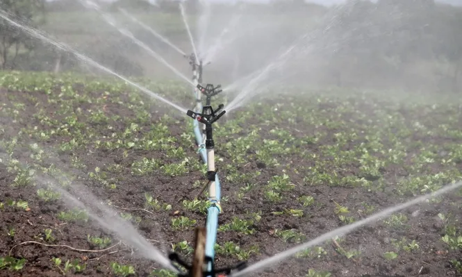 Tecnología de riego.
