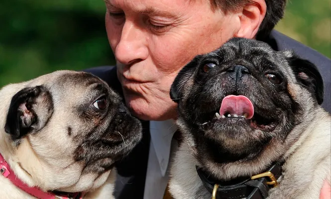 El diputado conservador era un defensor de los derechos de los animales