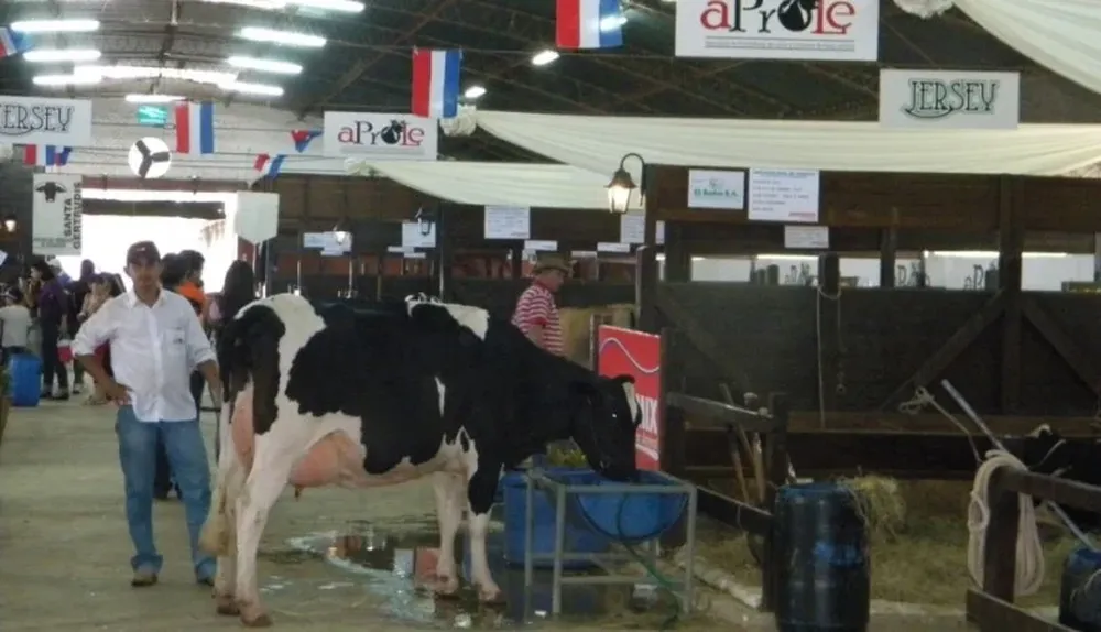 La muestra ganadera de Paraguay se presentó para la interesados de toda la región
