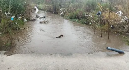 Creciente del Arroyo Carrasco