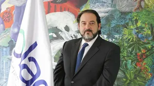 Andrés Rebolledo
