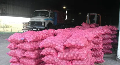 El Observador | 0002738150.webp