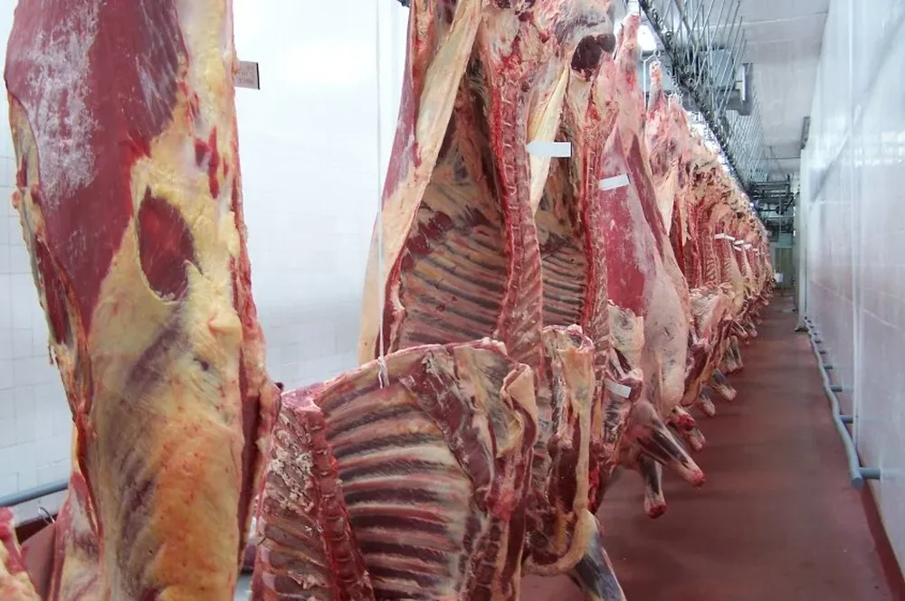 Plantean reforzar el origen de la carne uruguaya y sus atributos