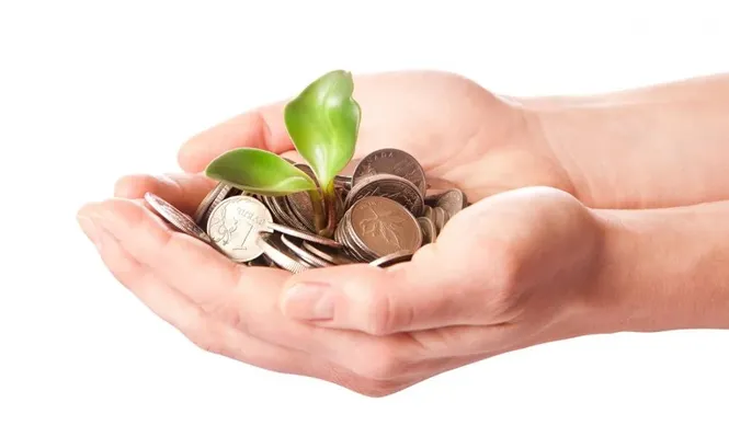 Asesores de inversión ganan terreno en el mercado de valores