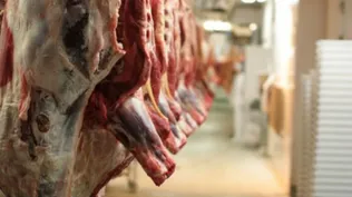 Precio de exportación de la industria volvió a crecer en febrero por carne y lácteos