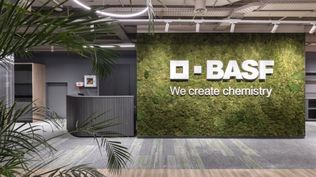 Despidos en BASF: los motivos que llevan a la multinacional a reestructurarse en Uruguay