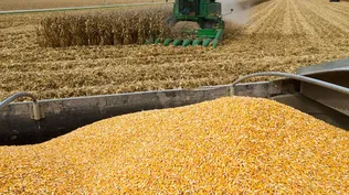 Postales de 20 años del agro