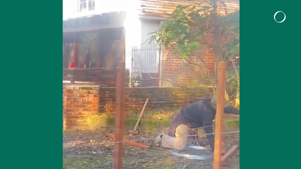 WhatsApp Image 2024-06-10 at 18.57.34.jpeg