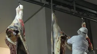 La faena vacuna sufrió un notorio desacelere en setiembre.