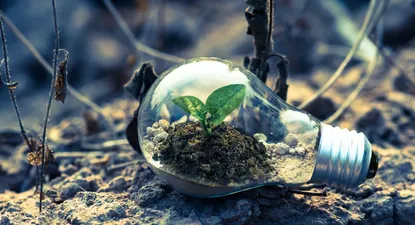 El Observador | 1624738774483.webp